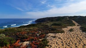 Read more about the article Fishermen’s Trail: 5 Gründe, die dich zu einer Fernwanderung in Portugal ermutigen